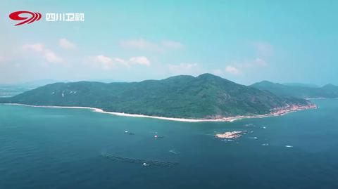 20251230精编特辑